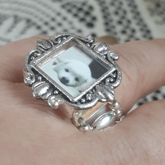 Dog photo stretch ring - Picture 3 of 6